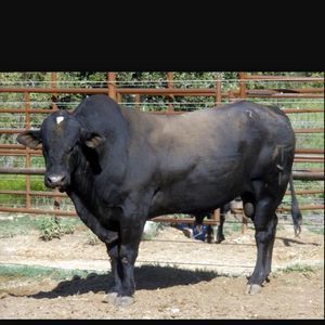 Meet your Posher, Jaime